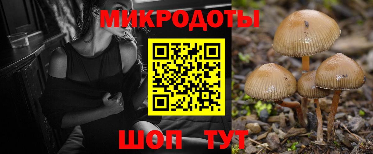 Галлюциногенные грибы MAGIC MUSHROOMS Казань